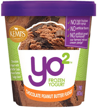 Yo2 Frozen Yogurt Chocolate Peanut Butter Fudge (pint)